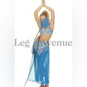 NWT: Belly Dancer Costume